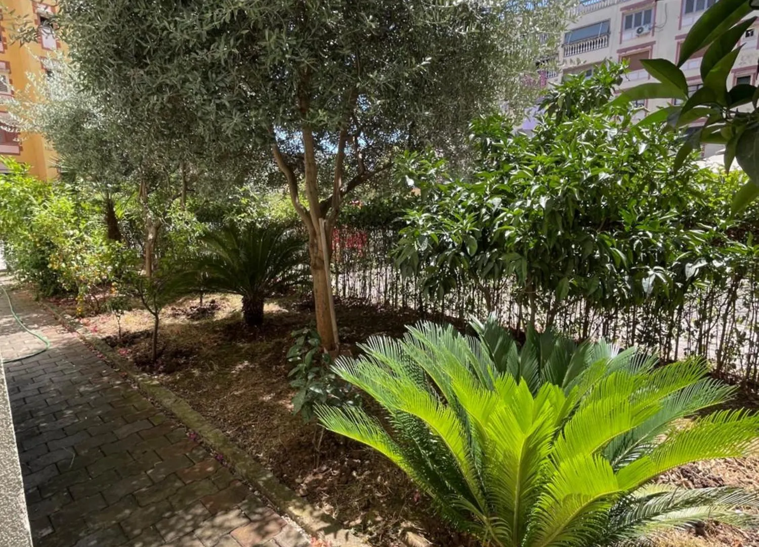 Apartment Crystal Comfort Stylish Spotless Tirana